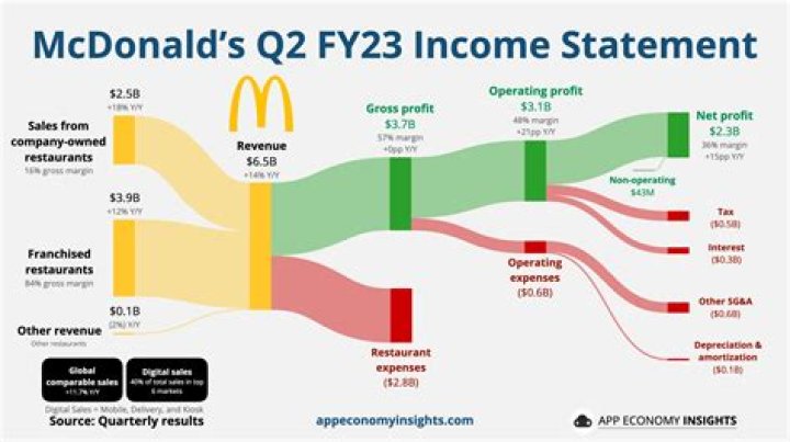 Nubel Feliz Yan Net Worth 2023: Earnings And Income Sources